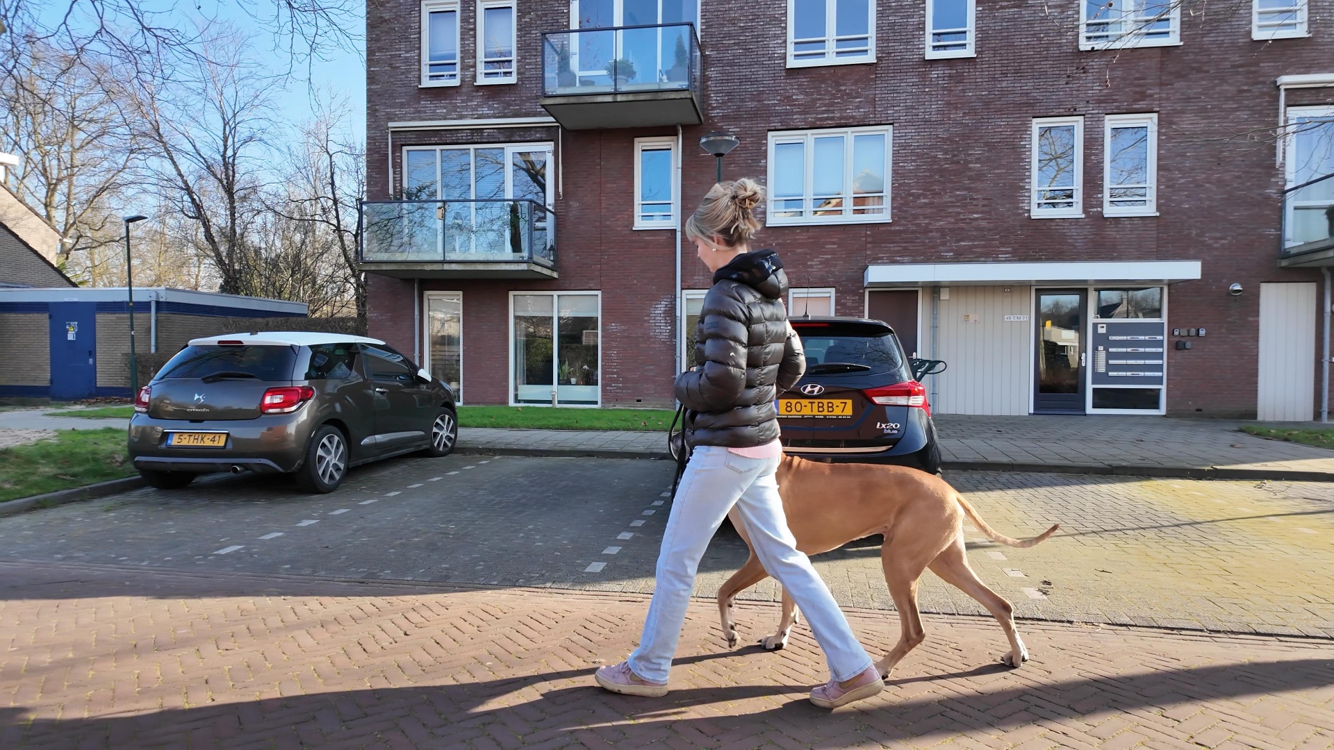 Je hond luistert niet naar je woorden. Hij luistert naar je signaal.